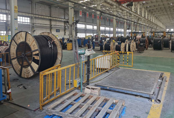 ��ɽ���ߵ��¹��� ��������