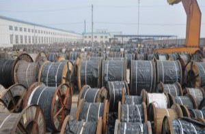 ����ɽ���� �ֿ�չʾ